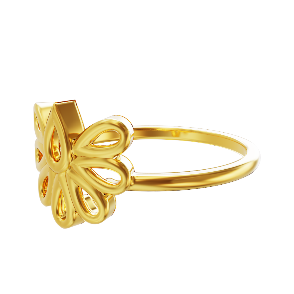 Ring-mela-2023